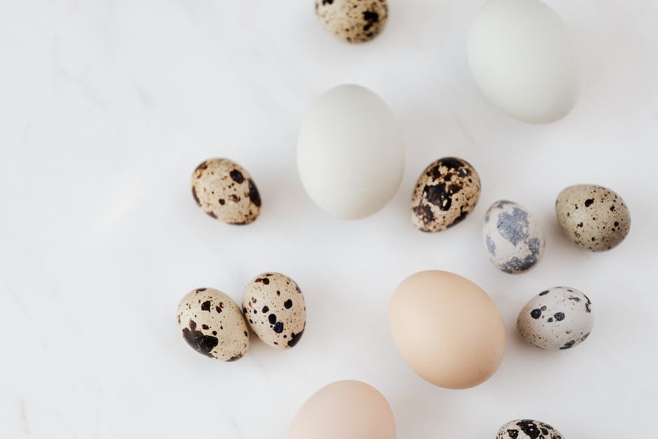  Anzahl gesunder Eier pro Tag